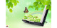Natureza Natural