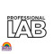 Professional Lab
